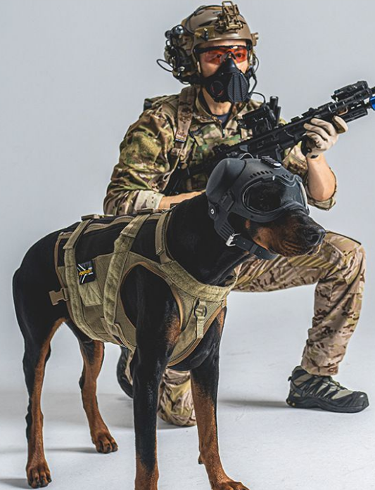 Tactical Vest